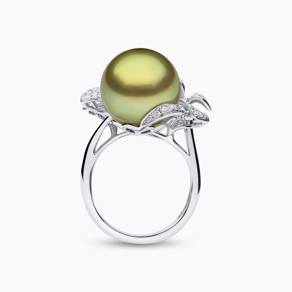 White Gold / Pistachio Tahitia