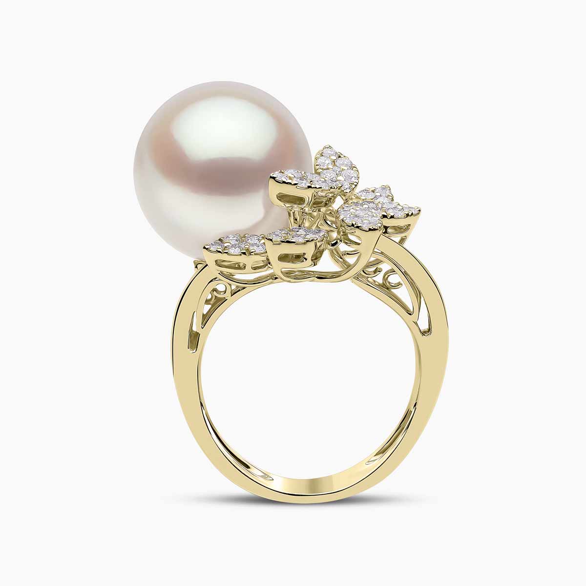 Yellow Gold / White Australian South Sea