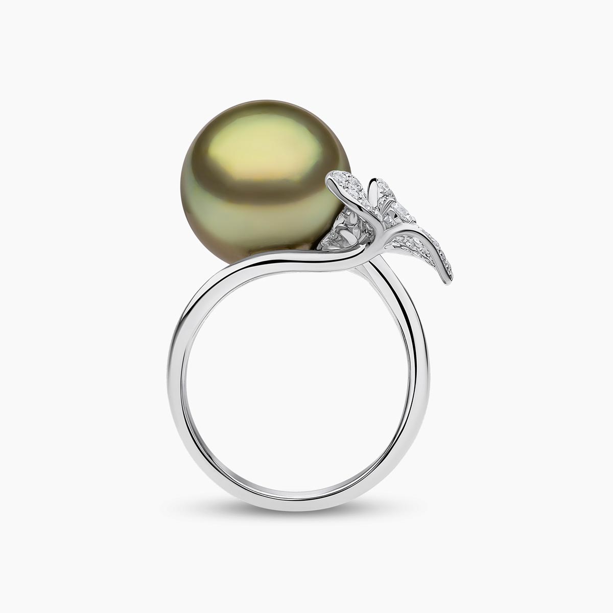 White Gold / Pistachio Tahitian / N