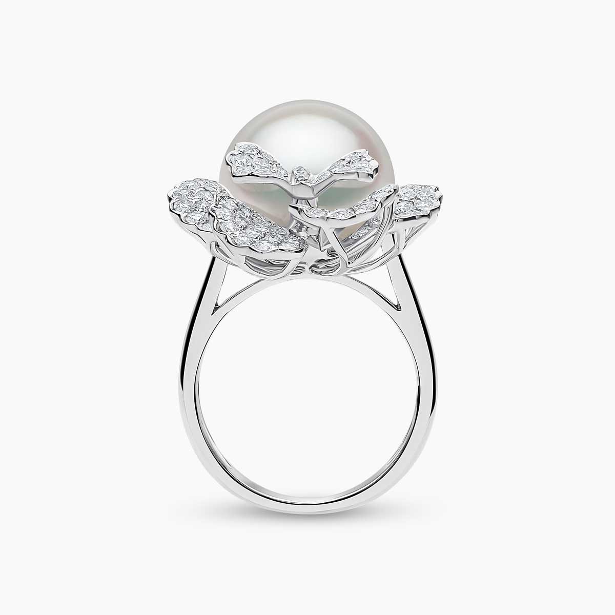 White Gold / White Australian South Sea / N