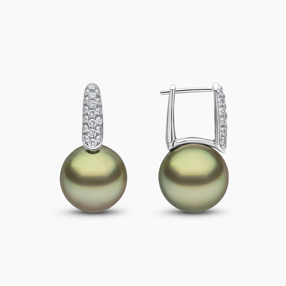 White Gold / Pistachio Tahitian