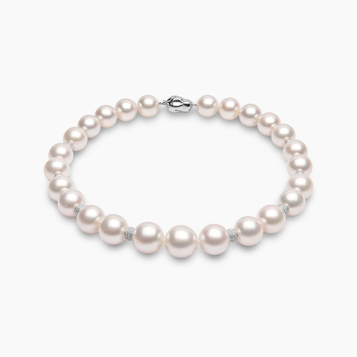 White Gold / White Australian South Sea