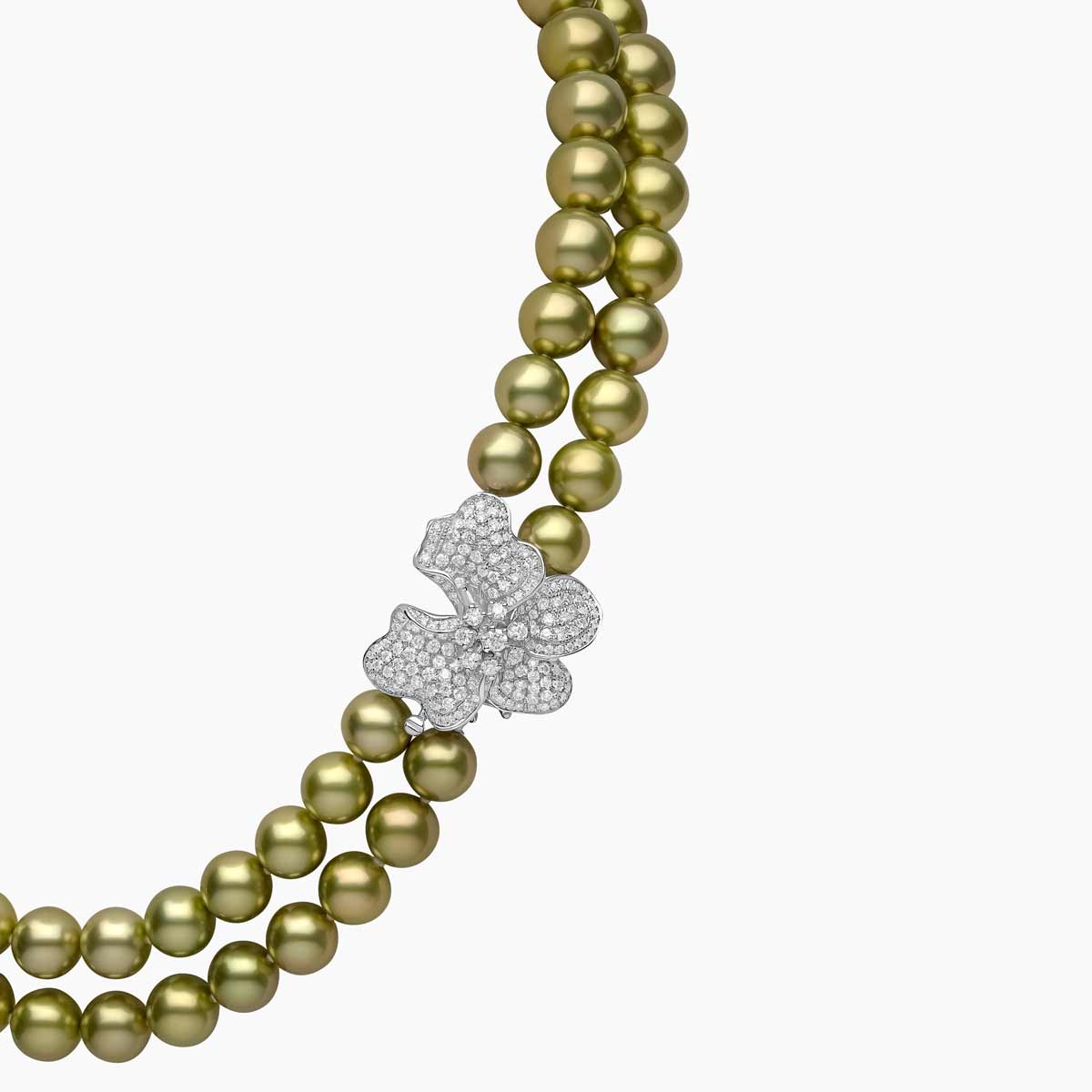 White Gold / Tahitian