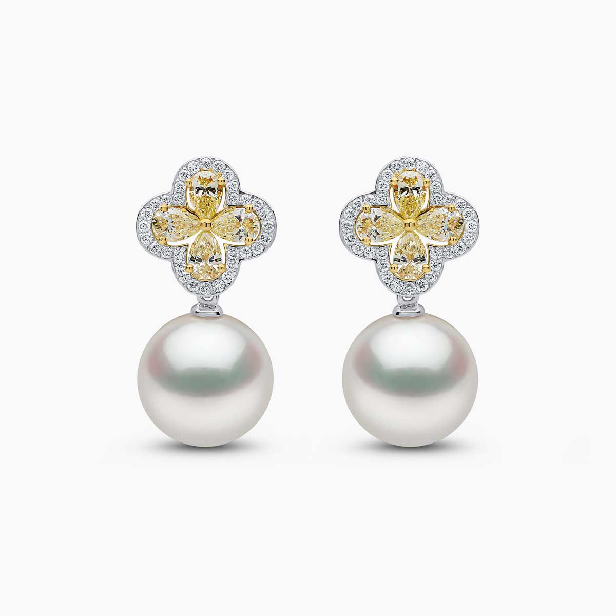 White Gold / White Australian South Sea