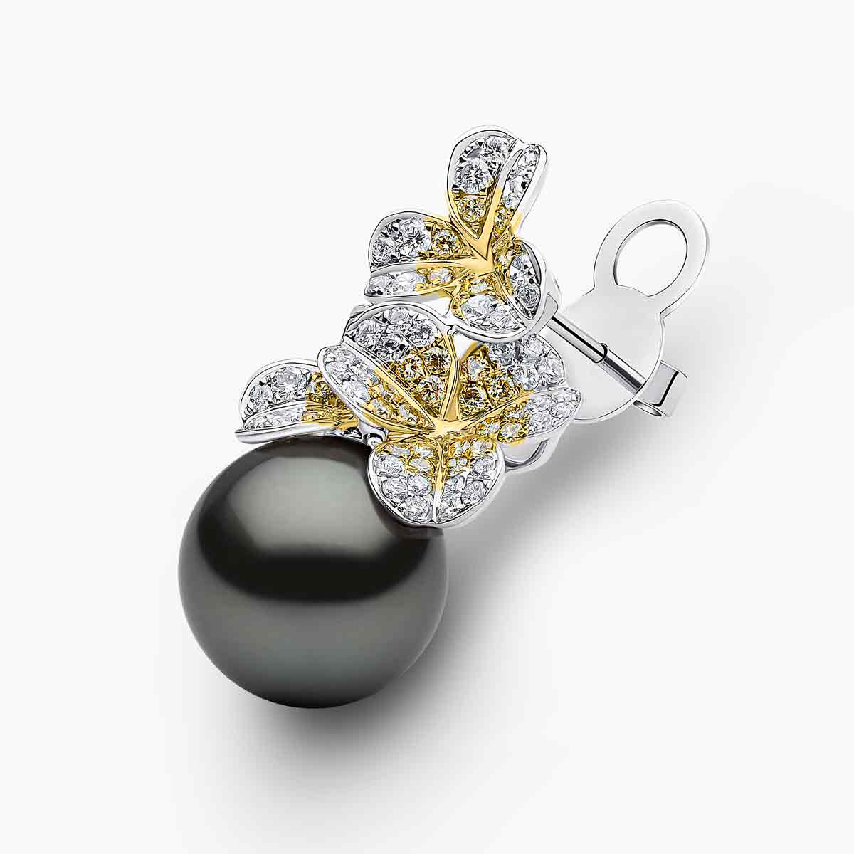 Golden Indonesian South Sea / White Gold