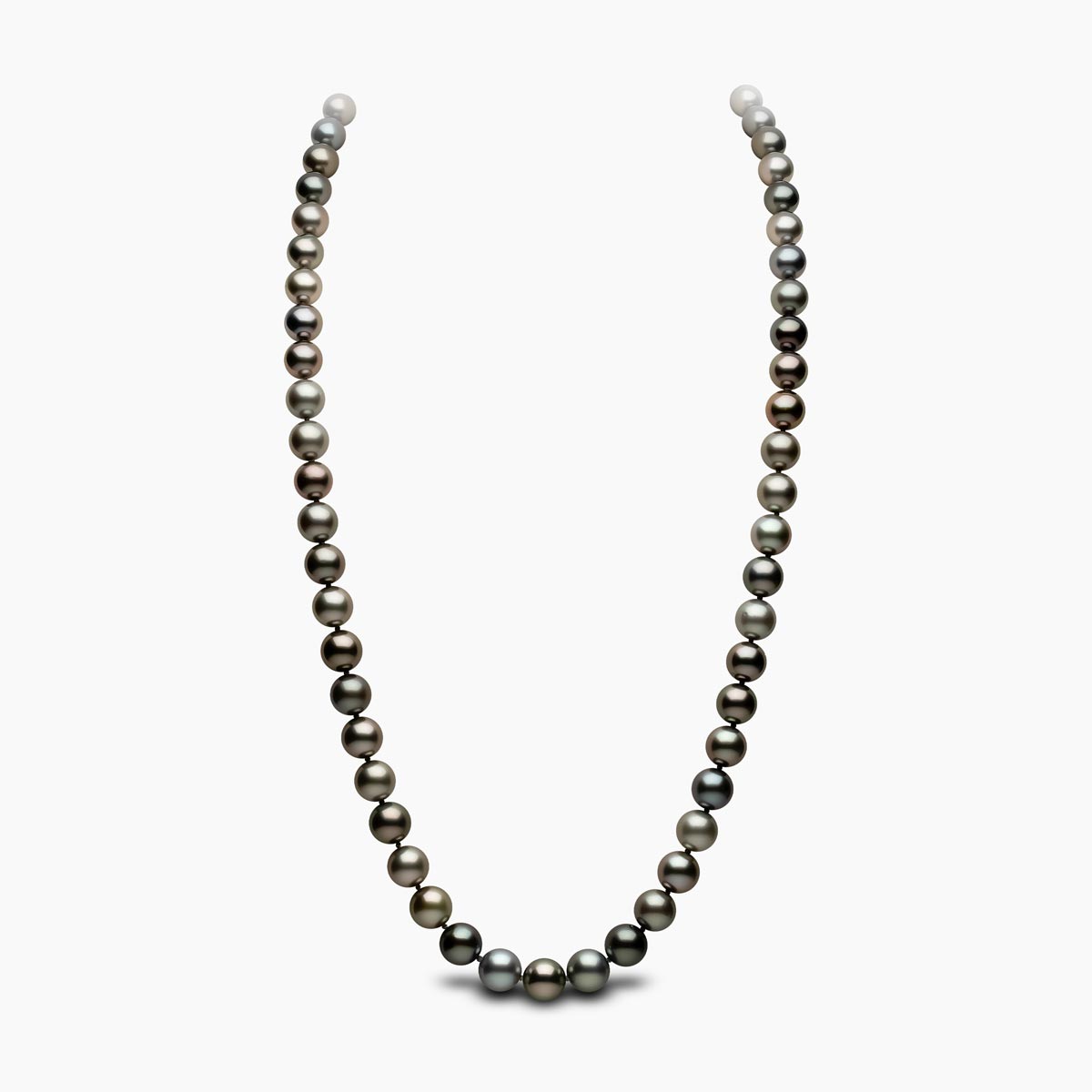 White Gold / Black Tahitian