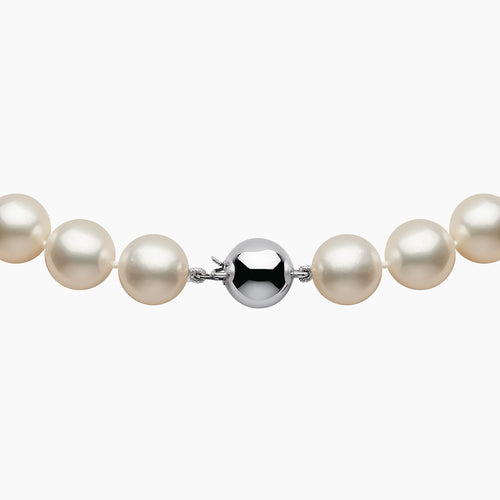 White Gold / White Australian South Sea
