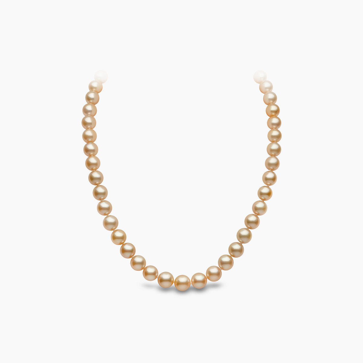 Classic Golden South Sea Pearl Single Strand Necklace | Yoko London
