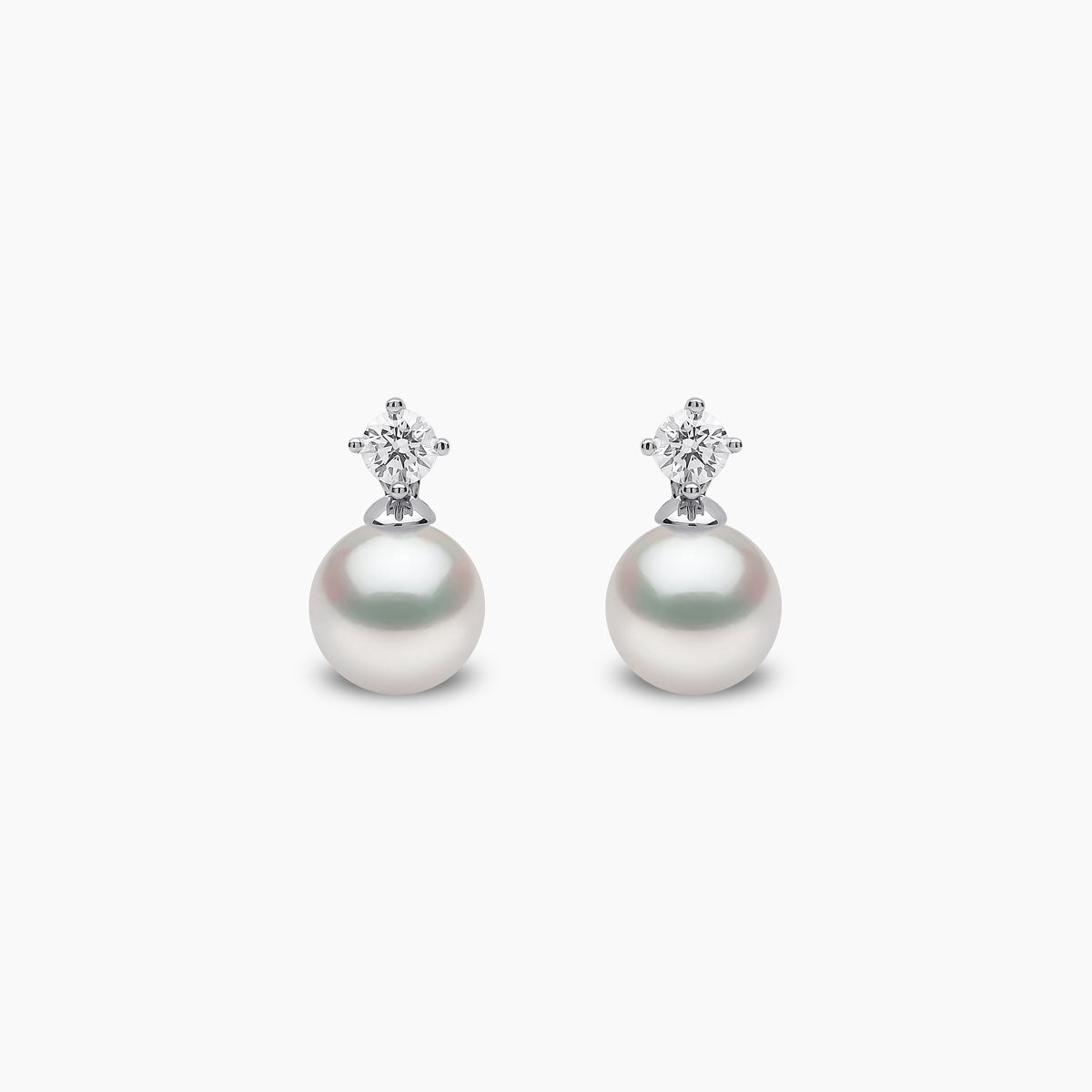 White Gold / White Japanese Akoya