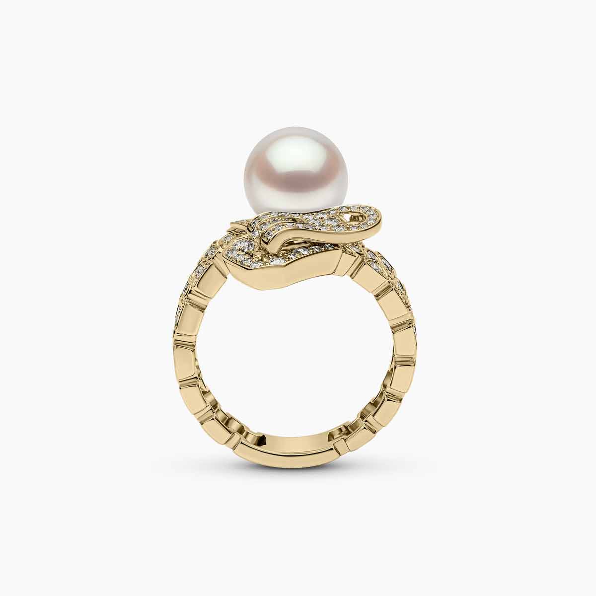 Yellow Gold / White Australian South Sea