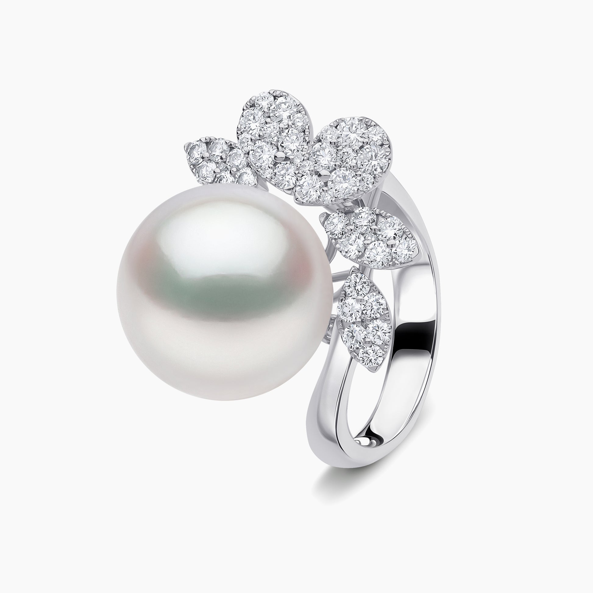 White Australian South Sea / White Gold