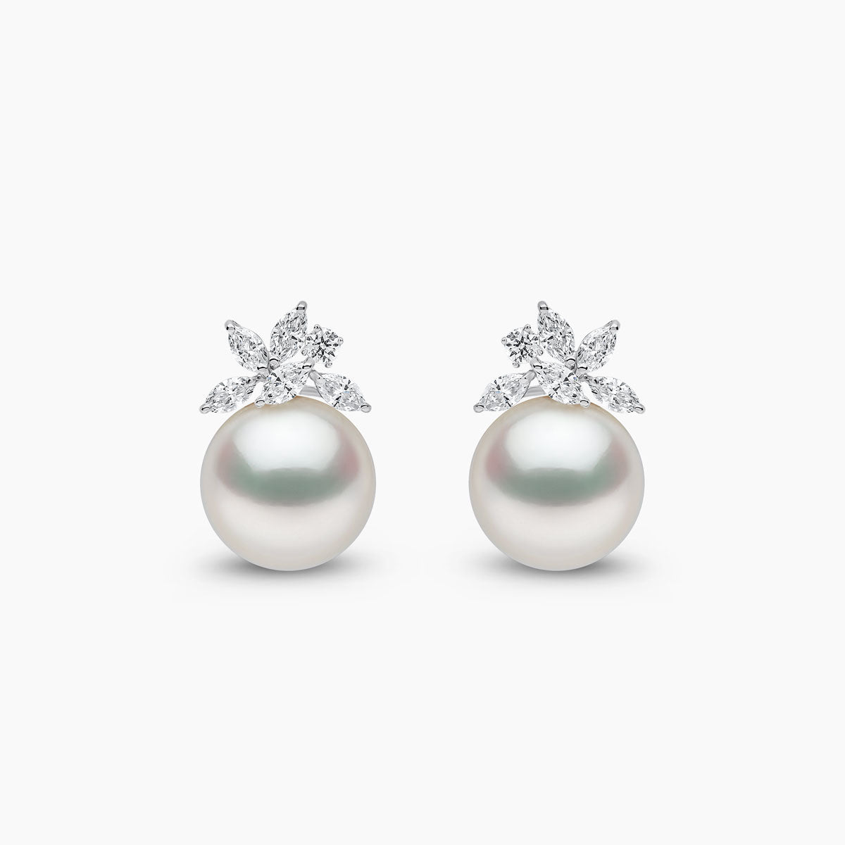 White Gold / White Australian South Sea