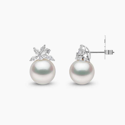 White Gold / White Australian South Sea