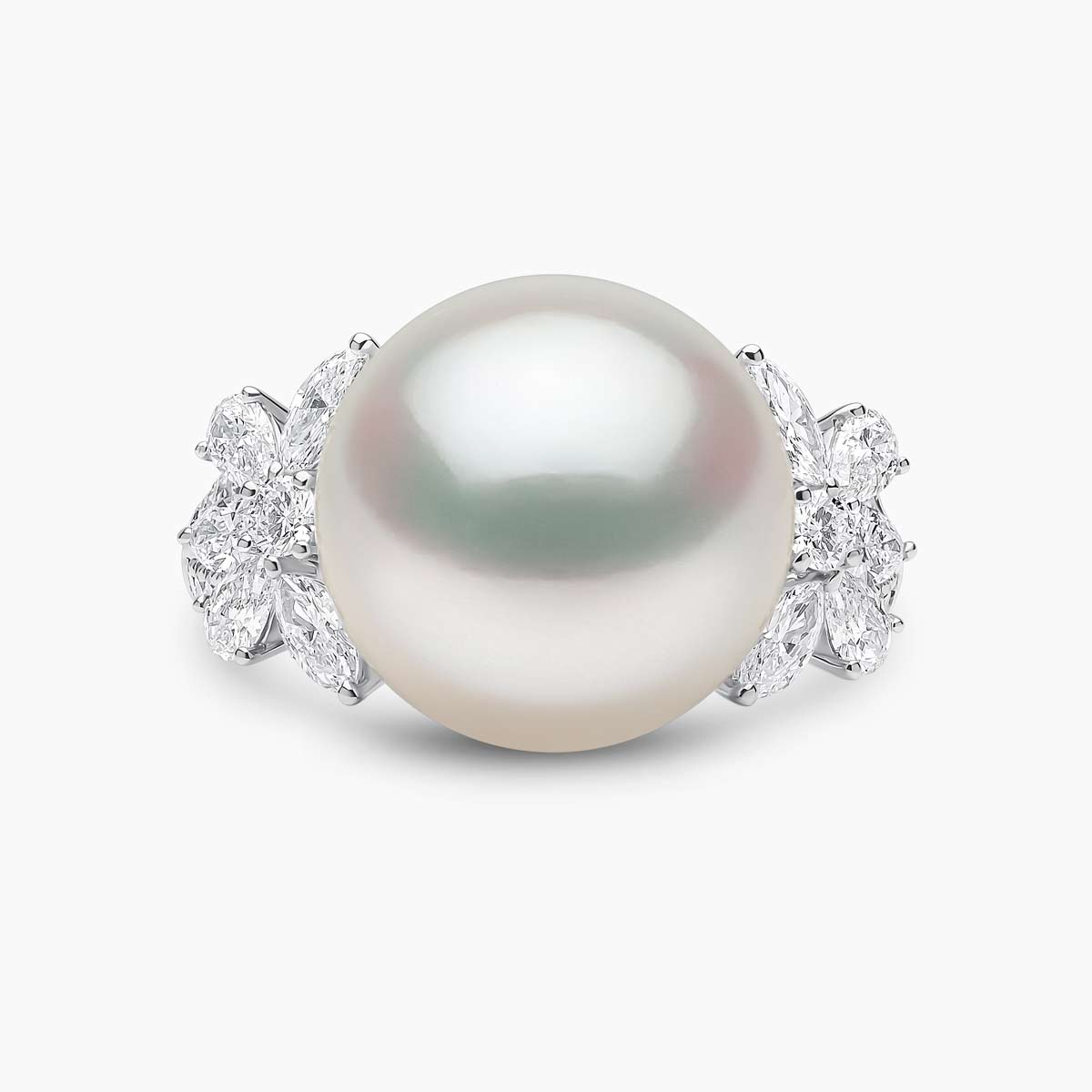 White Australian South Sea / White Gold