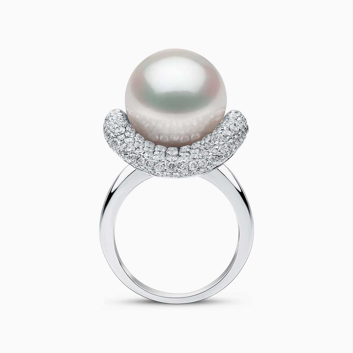 White Australian South Sea / White Gold