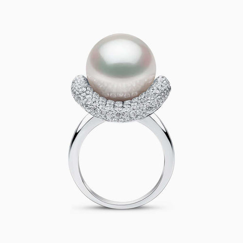 White Australian South Sea / White Gold