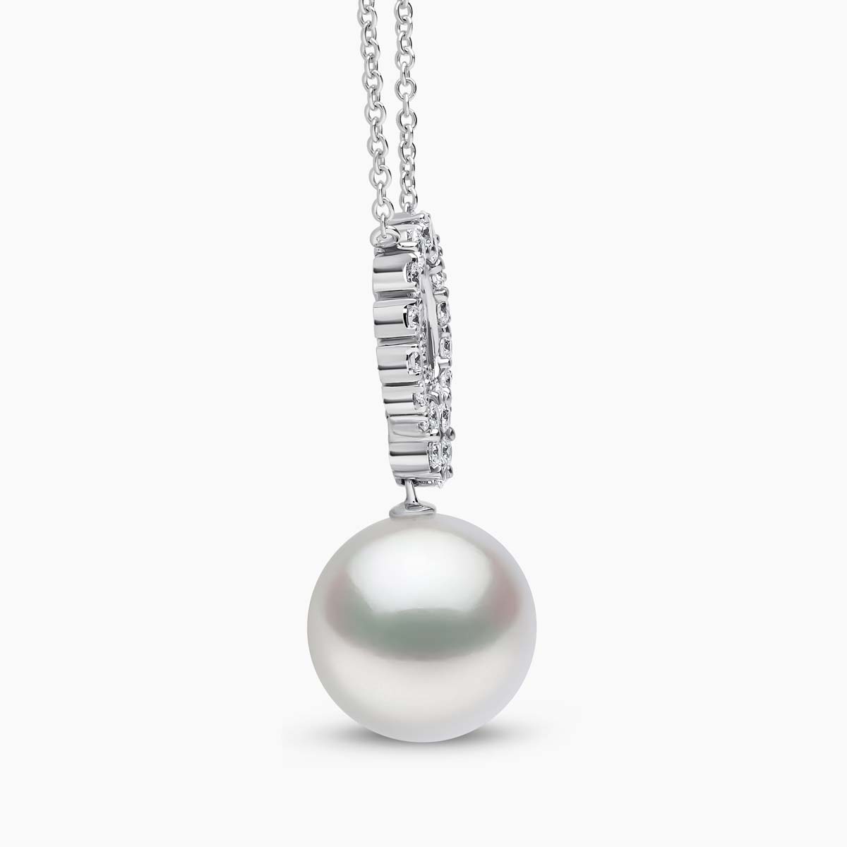 White Gold / White Australian South Sea