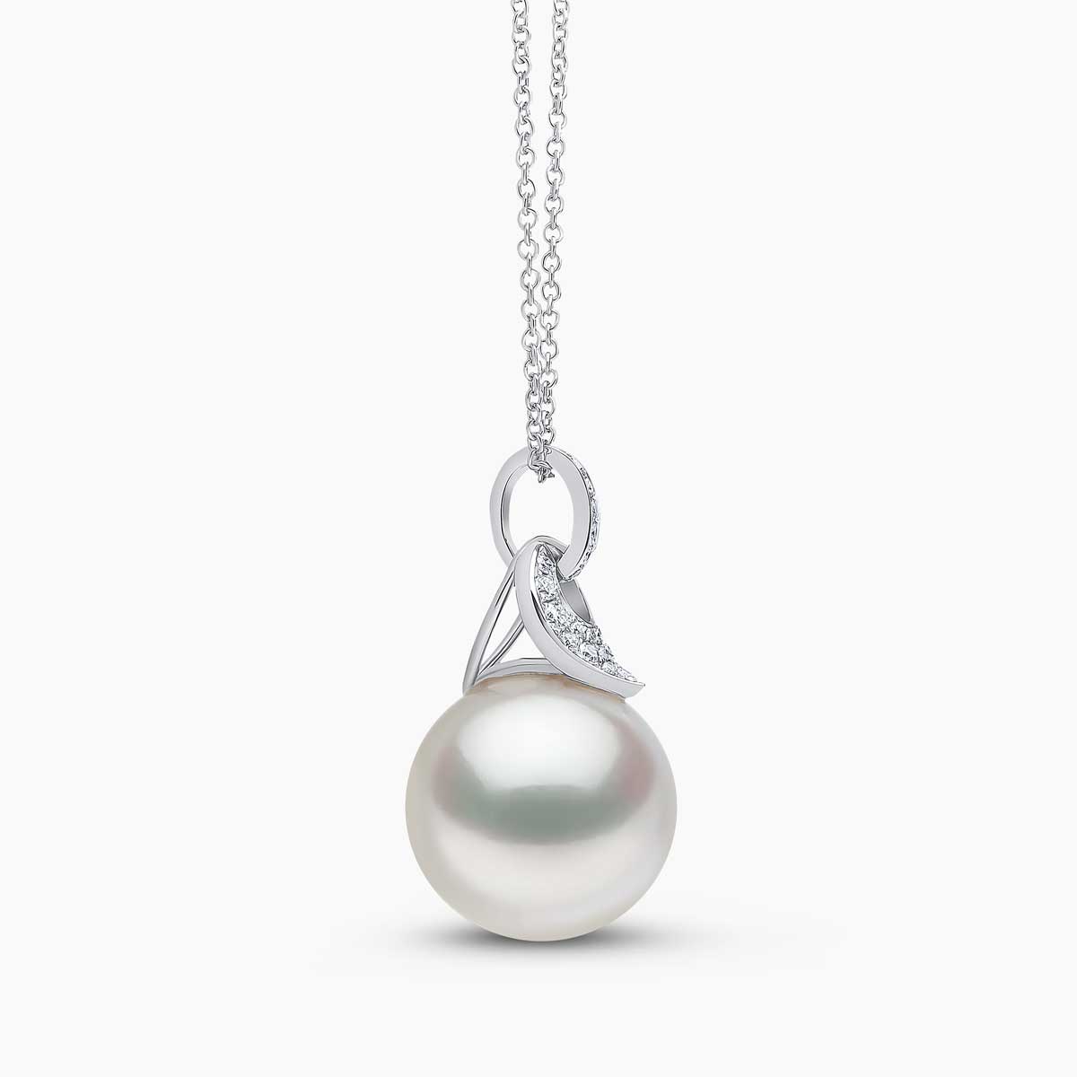 White Australian South Sea / White Gold