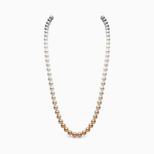 White Gold / Golden Indonesian South Sea