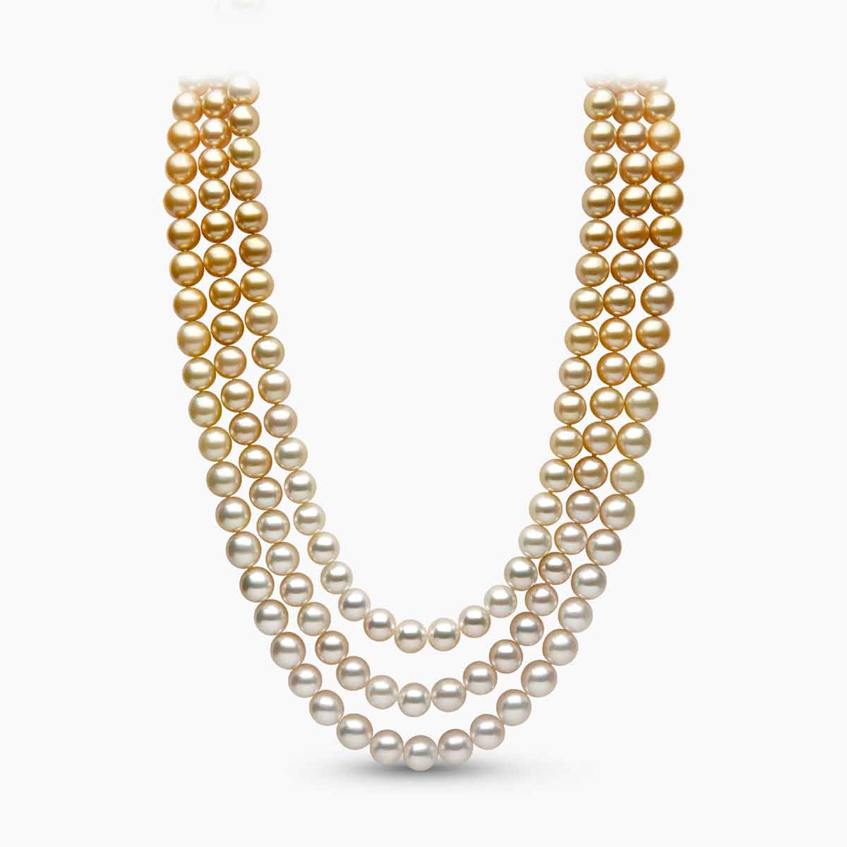 Yellow Gold / Golden Indonesian South Sea