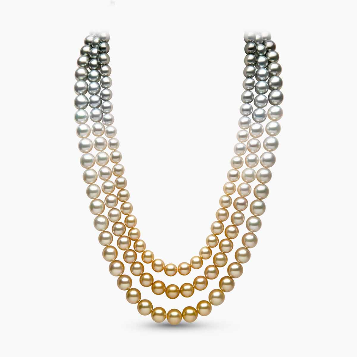 Yellow Gold / Golden Indonesian South Sea