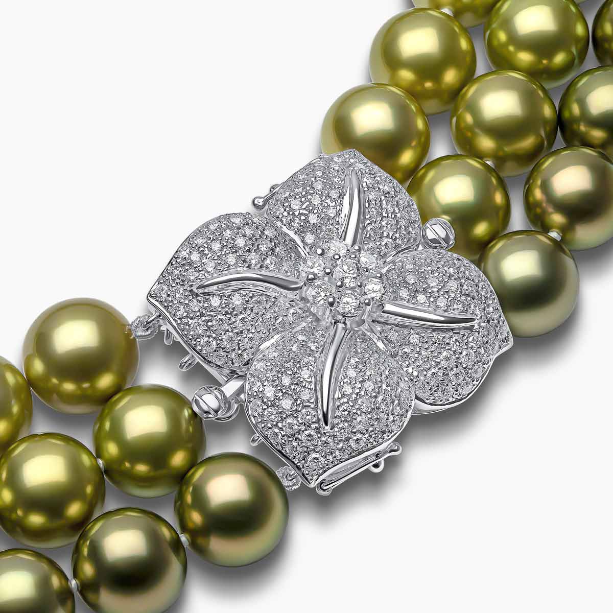 White Gold / Pistachio Tahitian