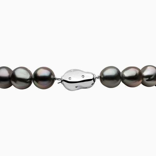 White Gold / Black Tahitian