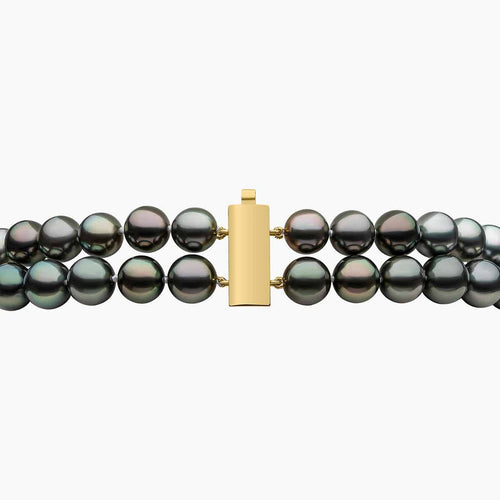 Yellow Gold / Golden Indonesian South Sea