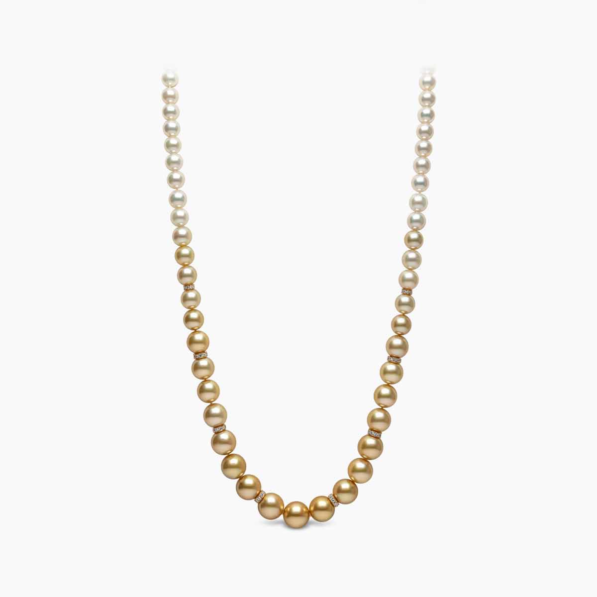 Yellow Gold / Golden Indonesian South Sea