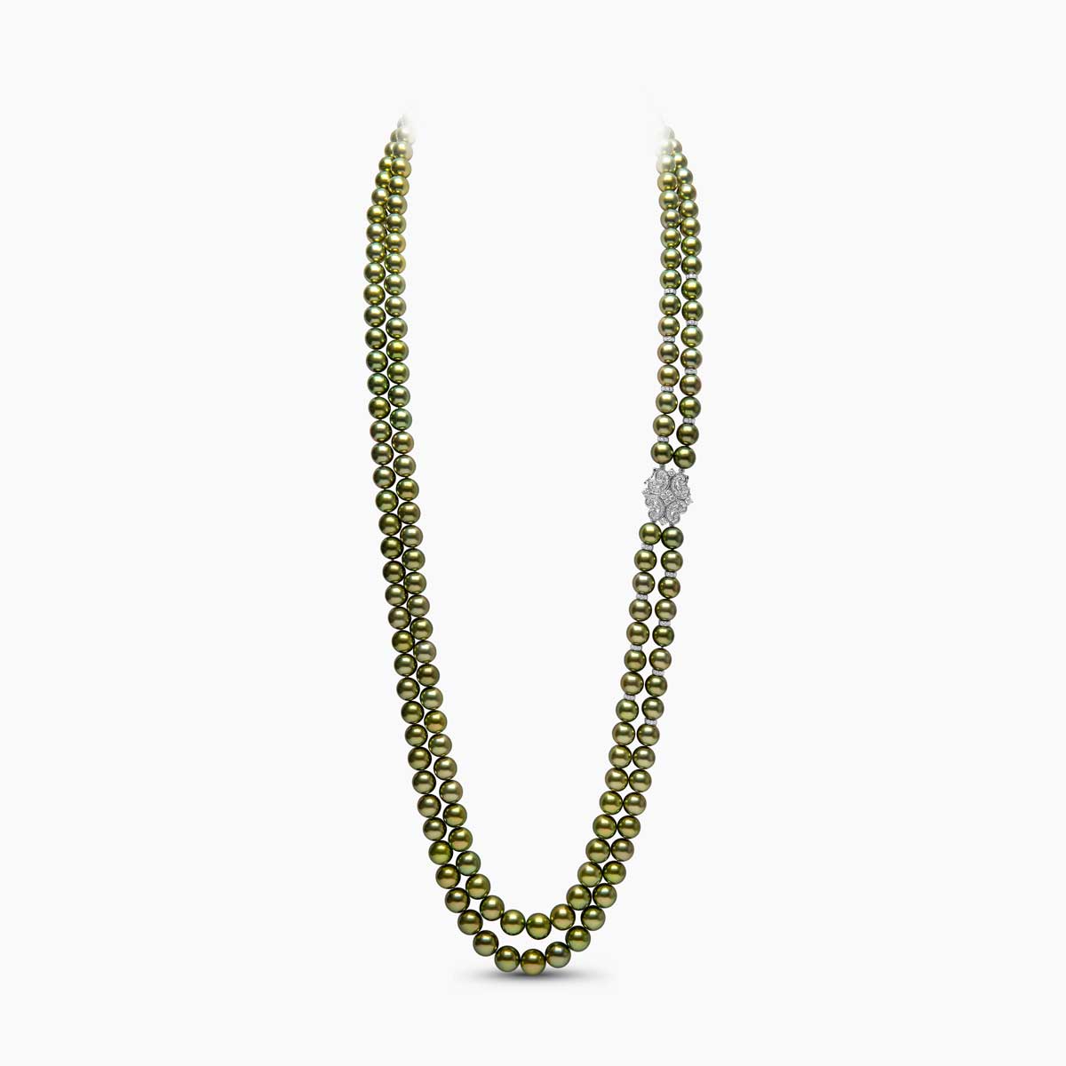 White Gold / Pistachio Tahitian