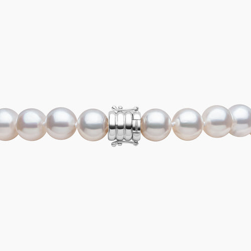 White Gold / White Australian South Sea