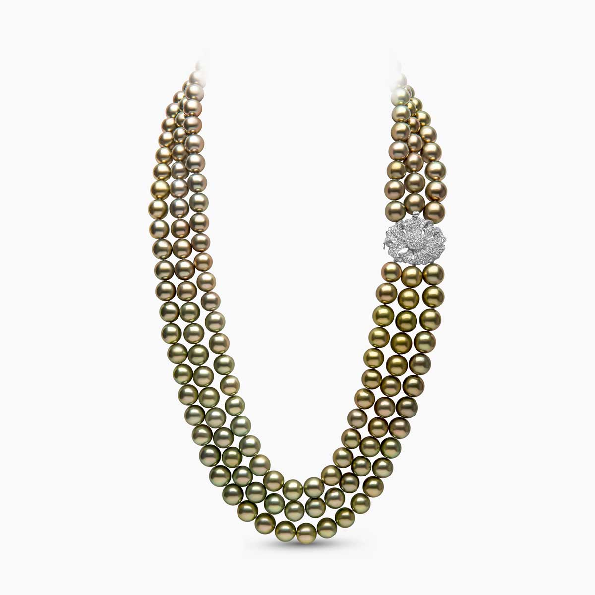 White Gold / Pistachio Tahitian