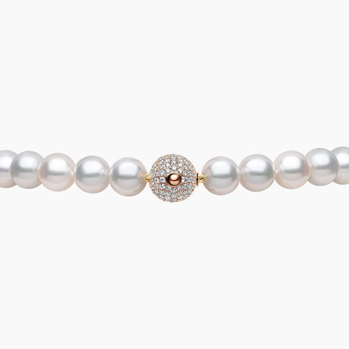 Rose Gold / White Australian South Sea