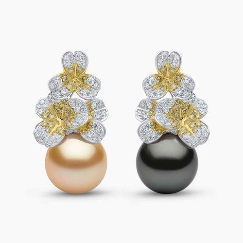 Golden Indonesian South Sea / White Gold