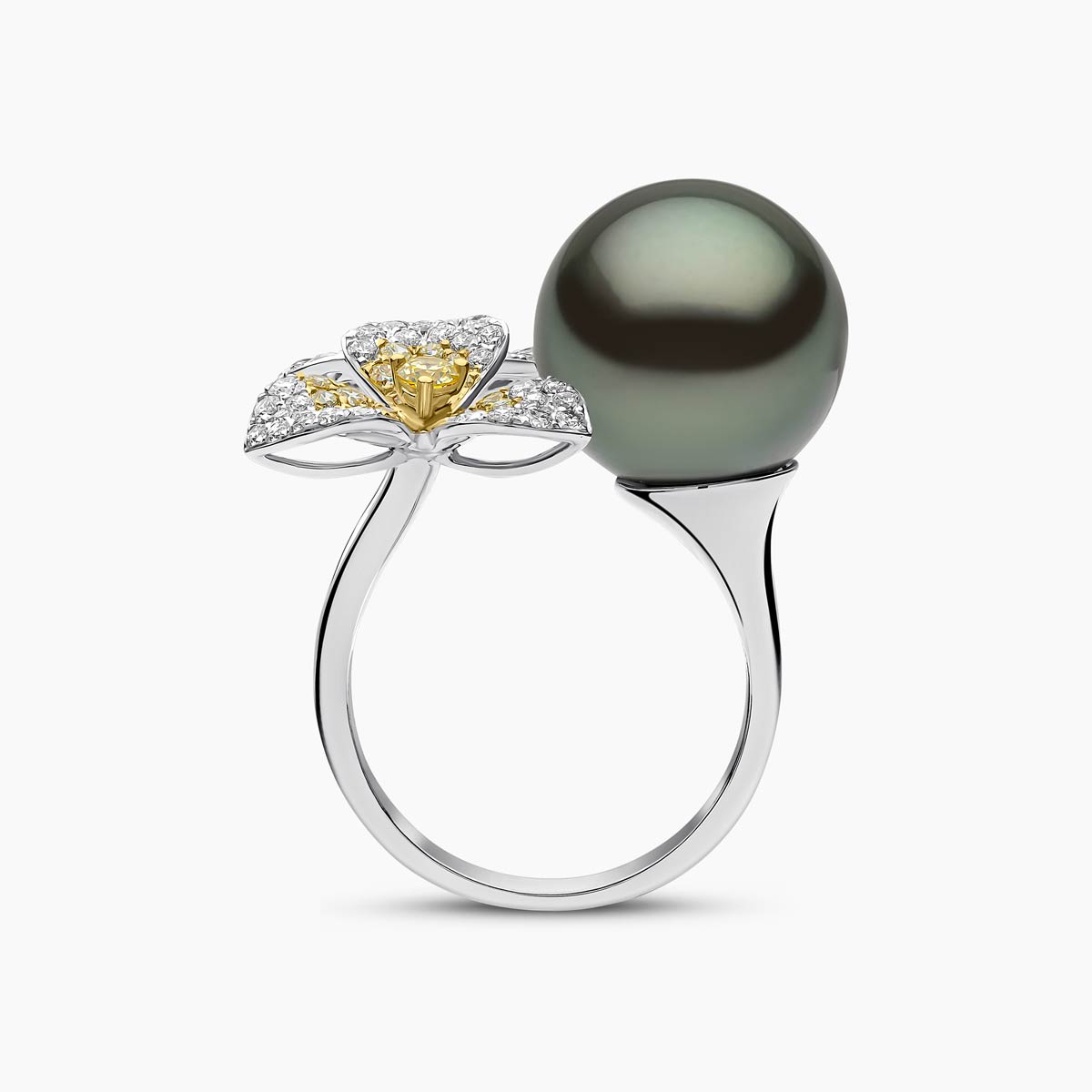 White Gold / Black Tahitian / N