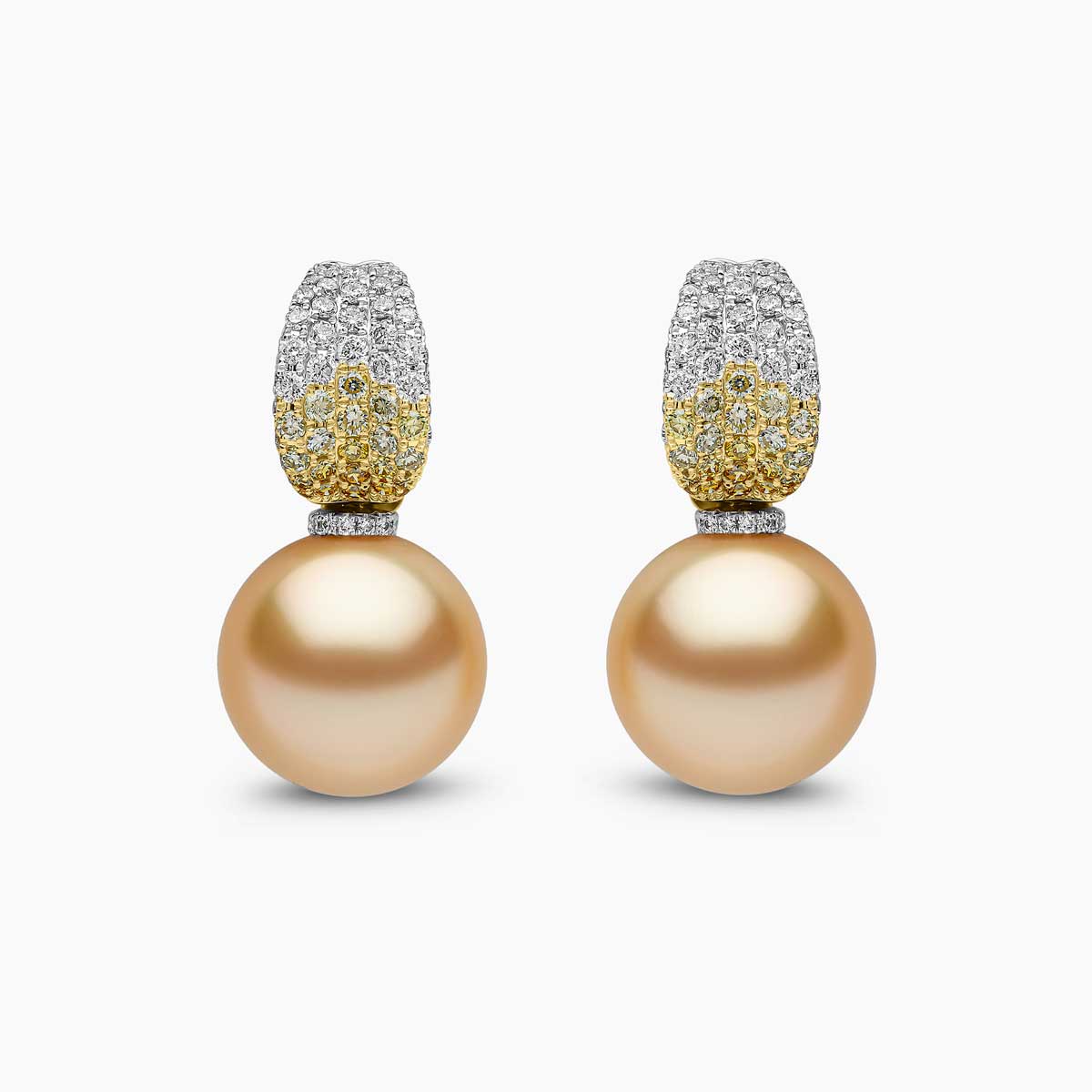 White Gold / Golden Indonesian South Sea