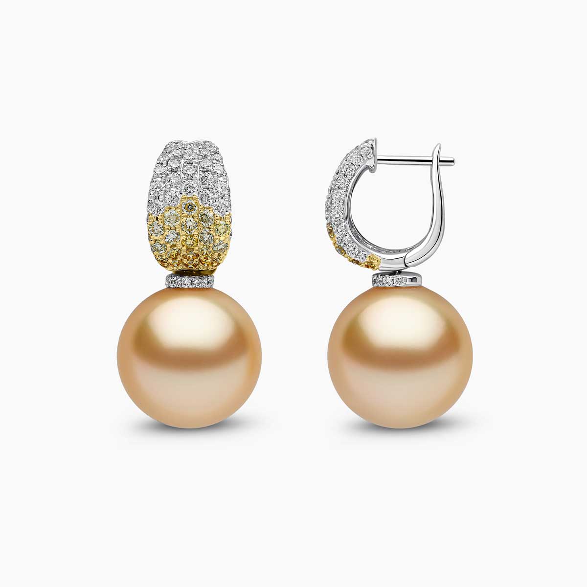 White Gold / Golden Indonesian South Sea