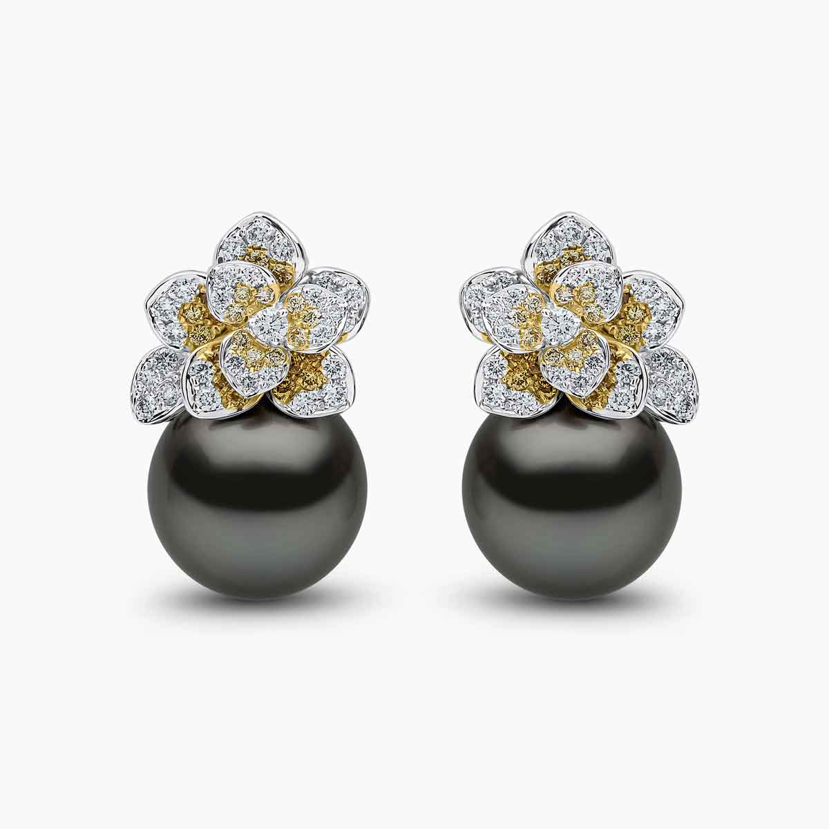 White Gold / Black Tahitian