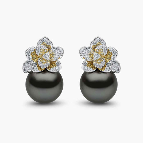 White Gold / Black Tahitian