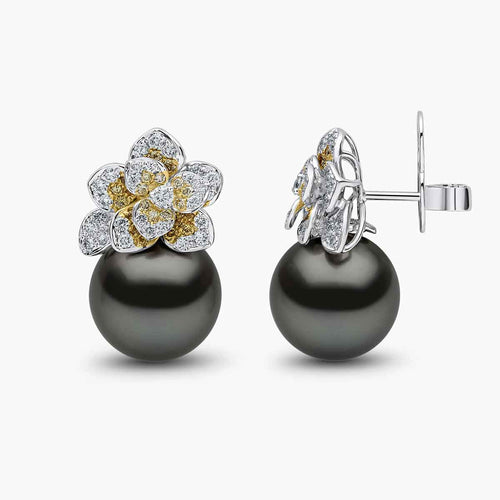 White Gold / Black Tahitian