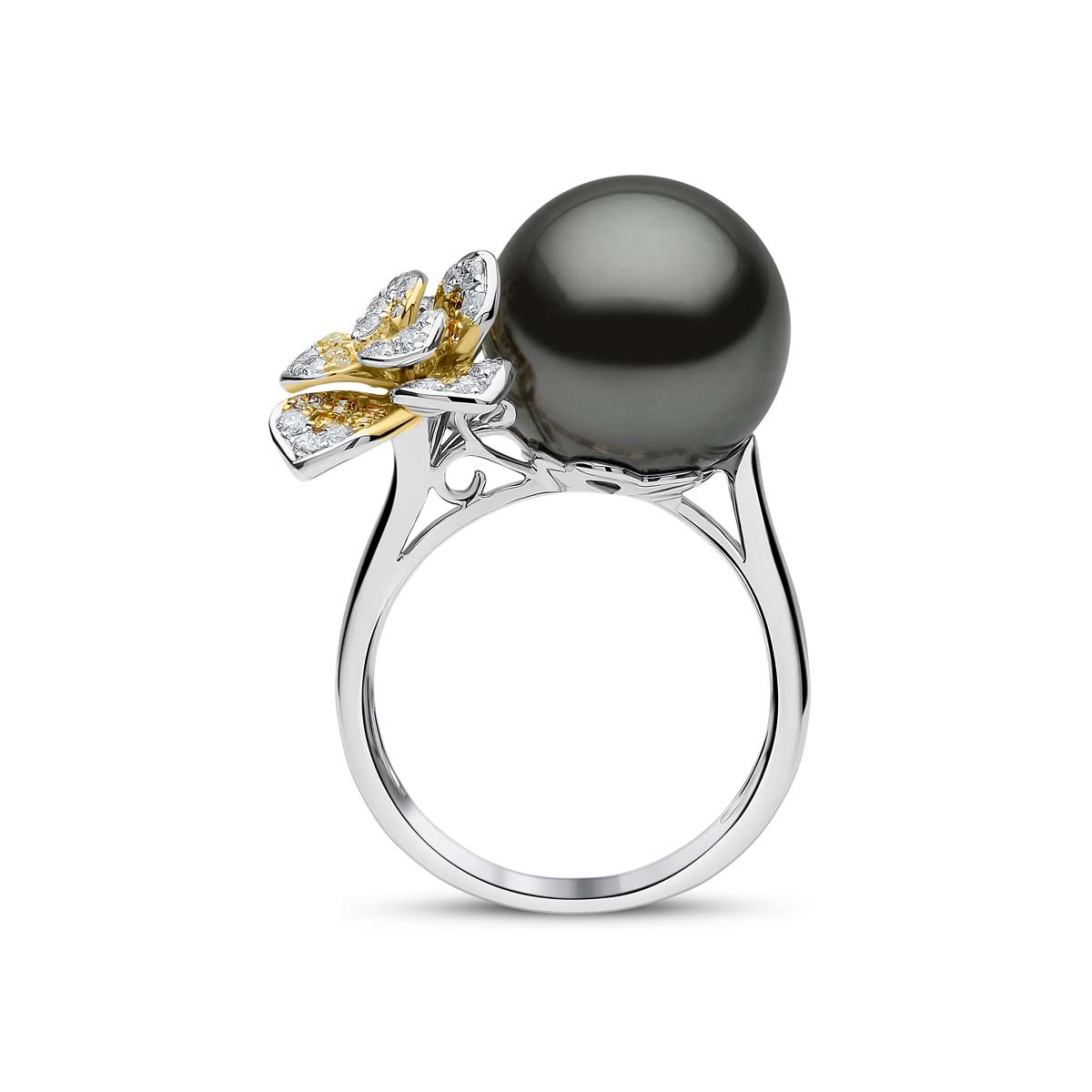 White Gold / Black Tahitian