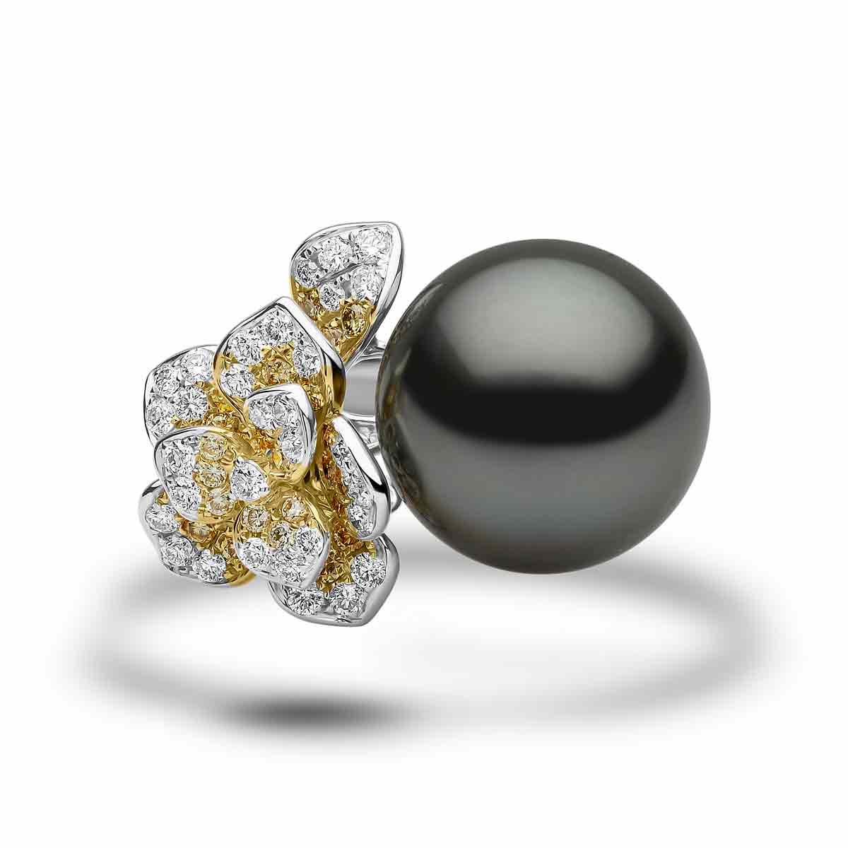 White Gold / Black Tahitian