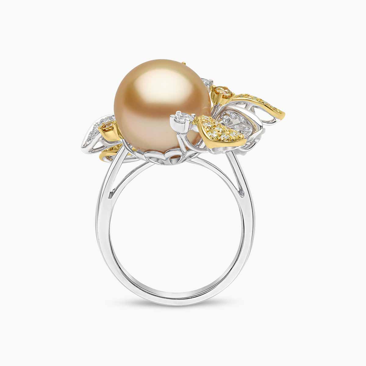 White Gold / Golden Indonesian South Sea / N
