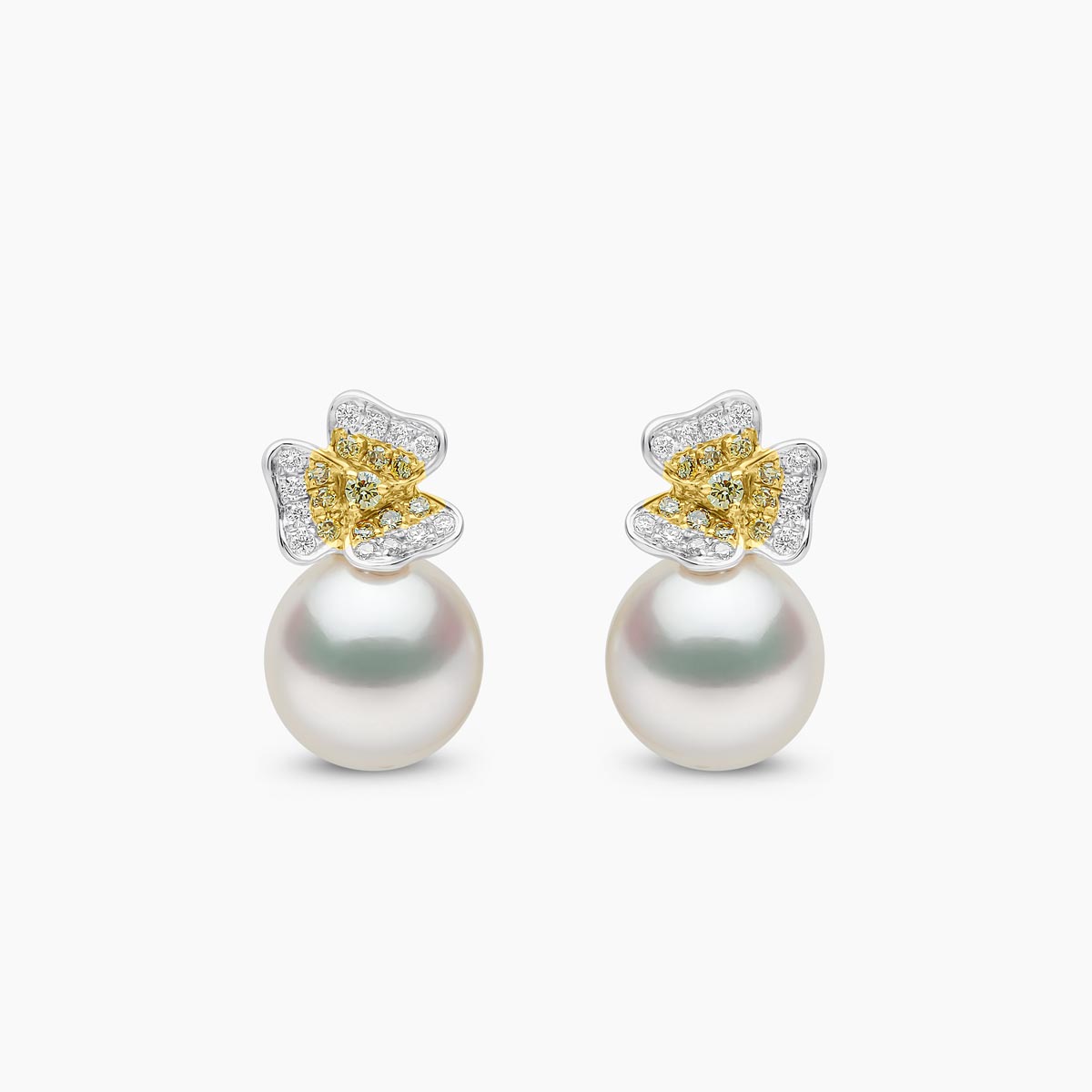 White Gold / White Australian South Sea