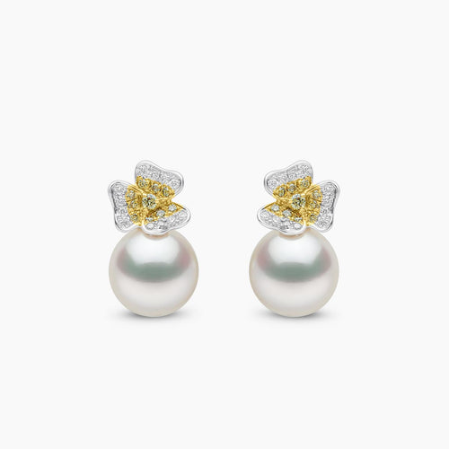 White Gold / White Australian South Sea