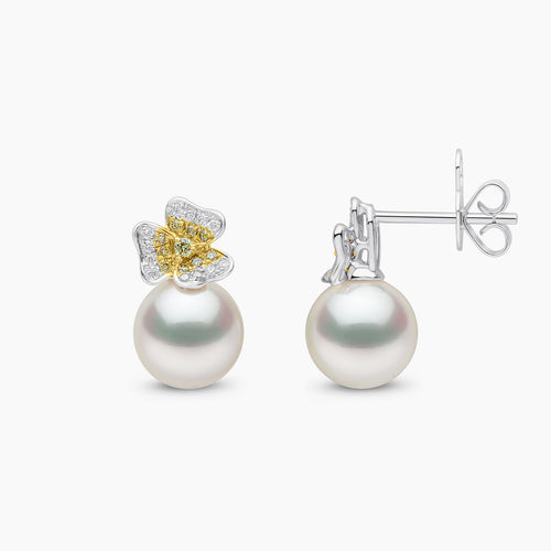 White Gold / White Australian South Sea