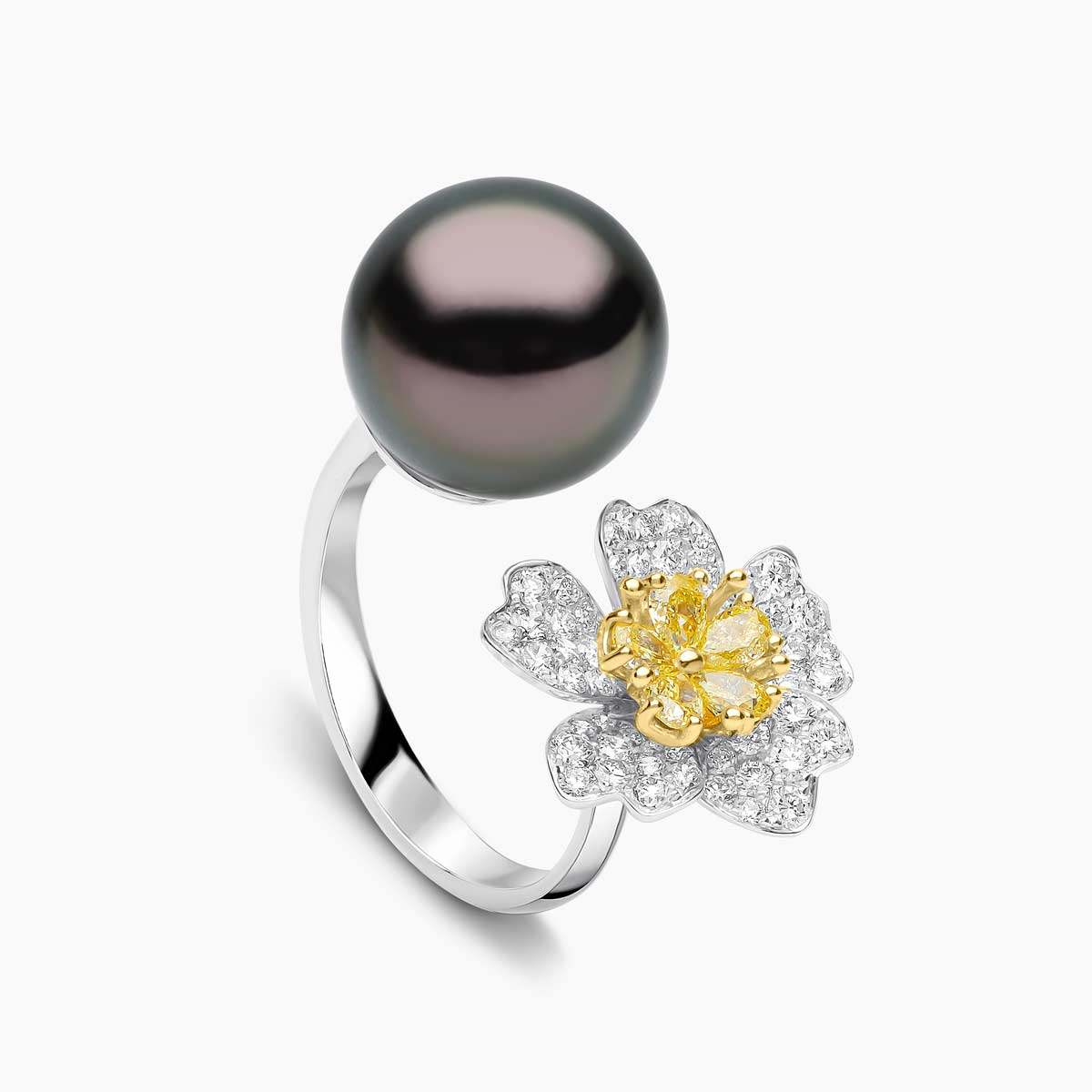 White Gold / Black Tahitian