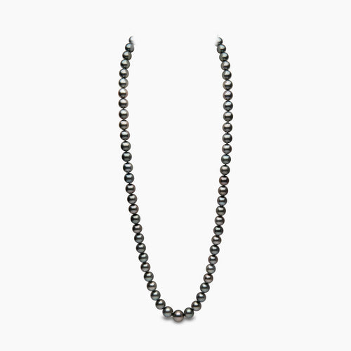 White Gold/ Black Tahitian