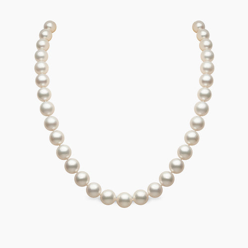 White Gold / White Australian South Sea 
