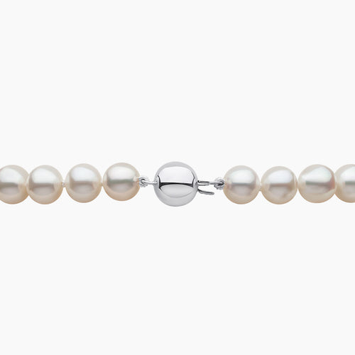 White Gold / White Freshwater